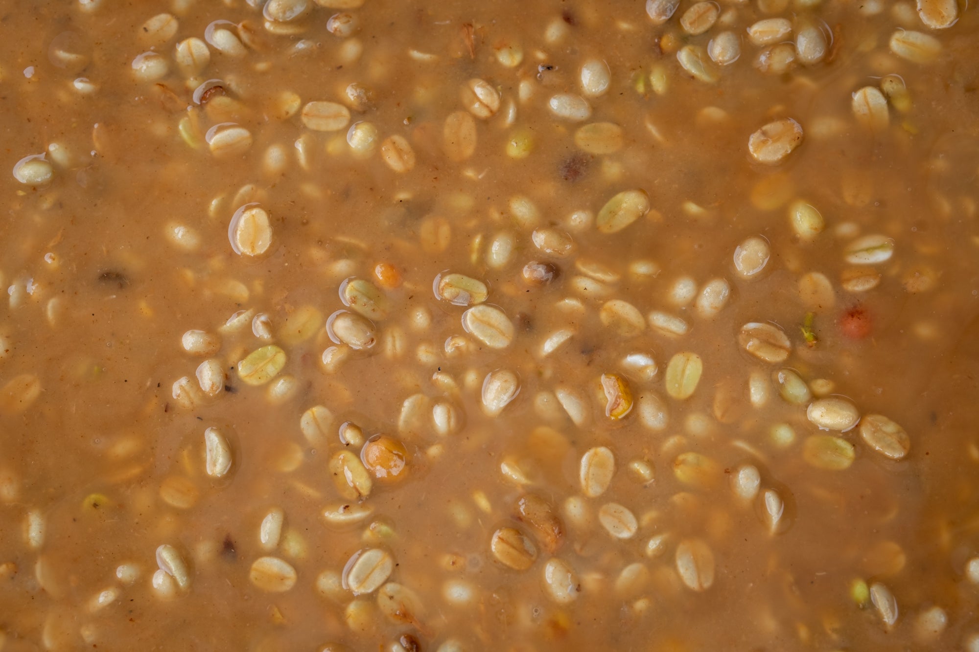 Craft Fermentation Coffee
